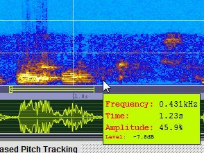 Sonogram Visible Voice - Potente software per spettro vocale sono6