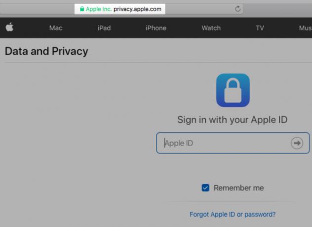 apple-dati-e-privacy-portal