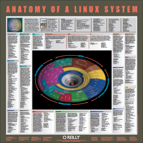 14 foglietti illustrativi e poster per anatomia di programmi popolari