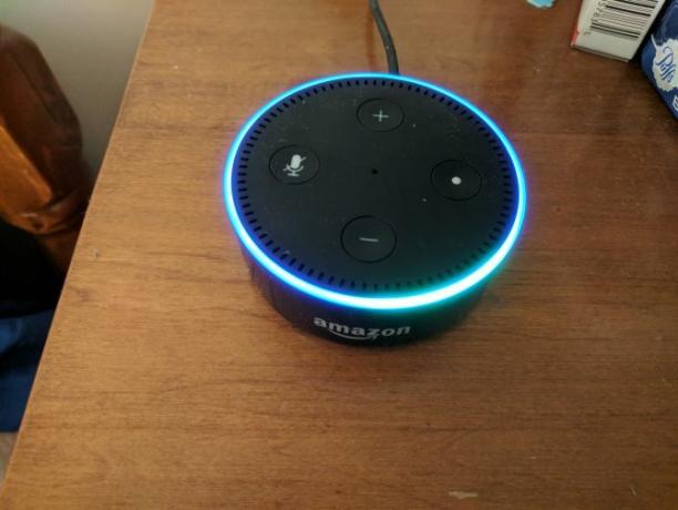 Come configurare e utilizzare Amazon Echo Dot 02 Echo Dot Impostazione delle luci