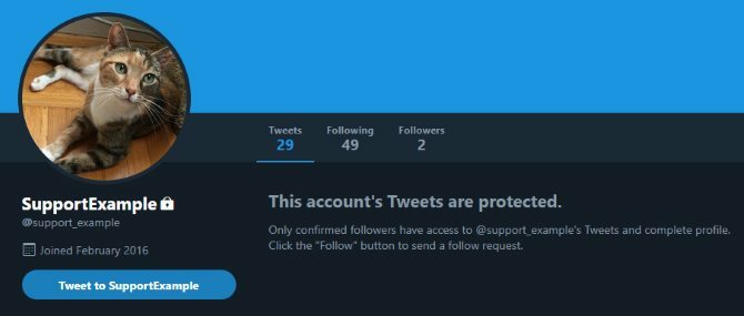 cos'è l'account protetto di twitter