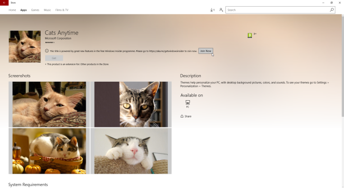 gatti a tema Windows 10 ovunque