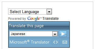 Traduci il tuo sito web