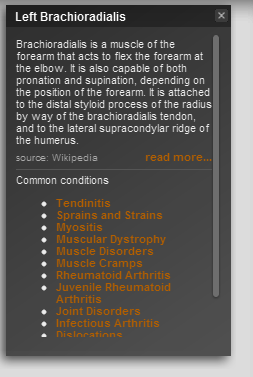 diagramma del corpo umano