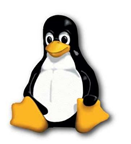 3 modi per installare Linux su Windows o Mac linux1