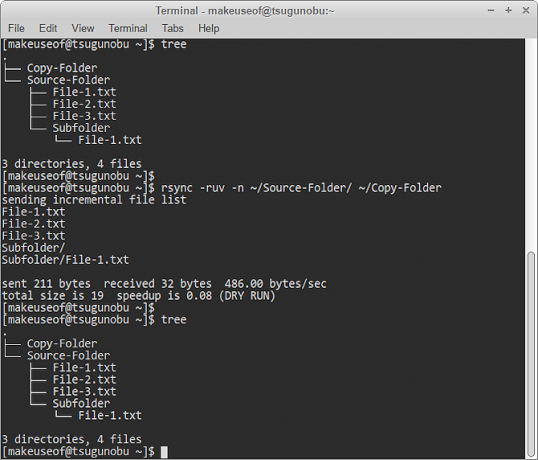 rsync dry run