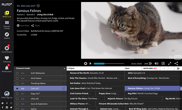 pluto.tv-famosi-cats