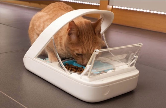 SureFeed Microchip Pet Feeder