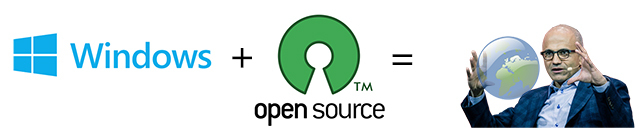 finestre-open-source-mondo-dominio