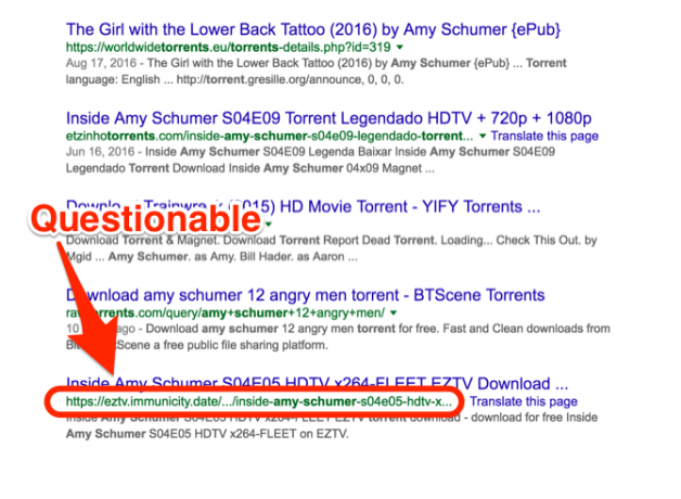 Amy Schumer URL del torrent