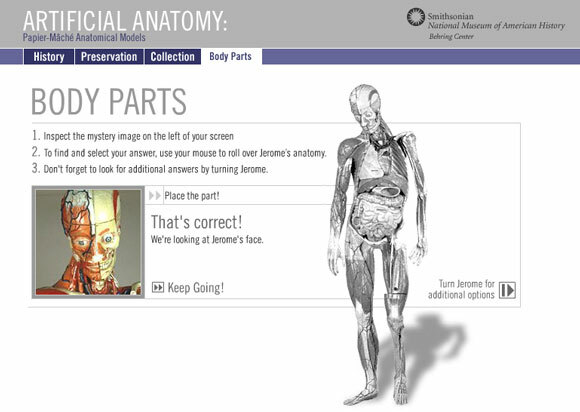 anatomia interattiva