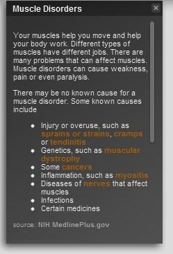 anatomia del corpo umano