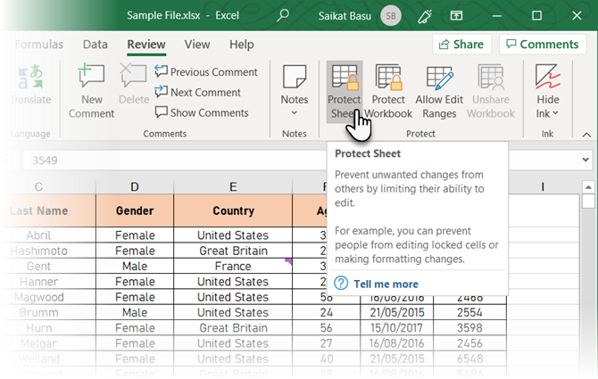 Fai clic su Proteggi foglio in Excel