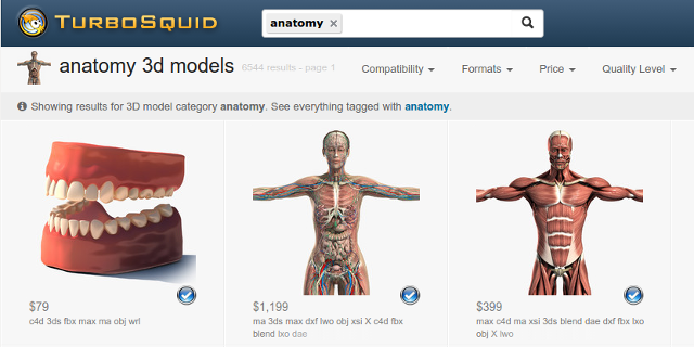 3d-anatomia-modelli-TurboSquid