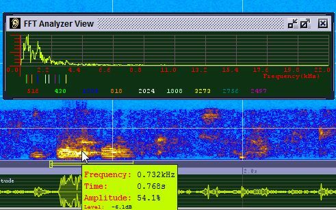 Sonogram Visible Voice - Potente software per spettri vocali sono9