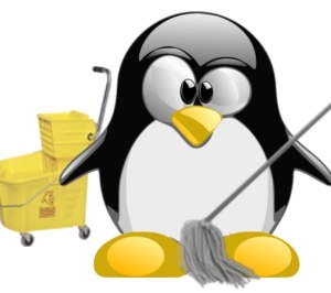 pulire e pulire Linux