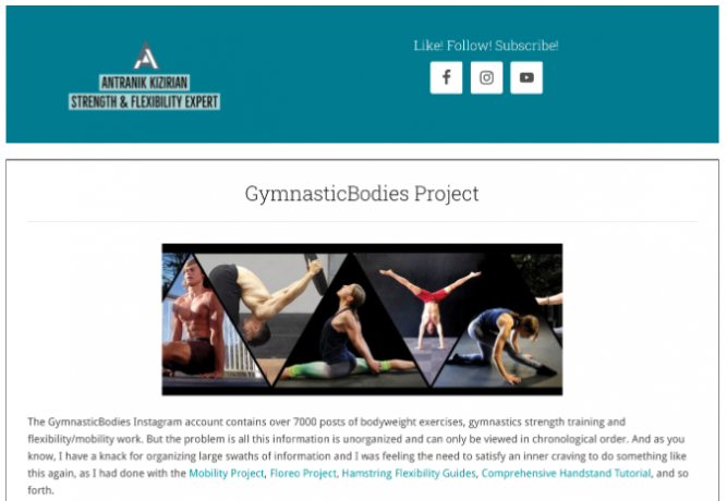 Il Progetto GymnasticBodies è una raccolta ben organizzata dei migliori post dell'account Instagram di GymnasticBodies per rendere più semplice la navigazione