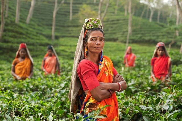 Persone in India in una fattoria