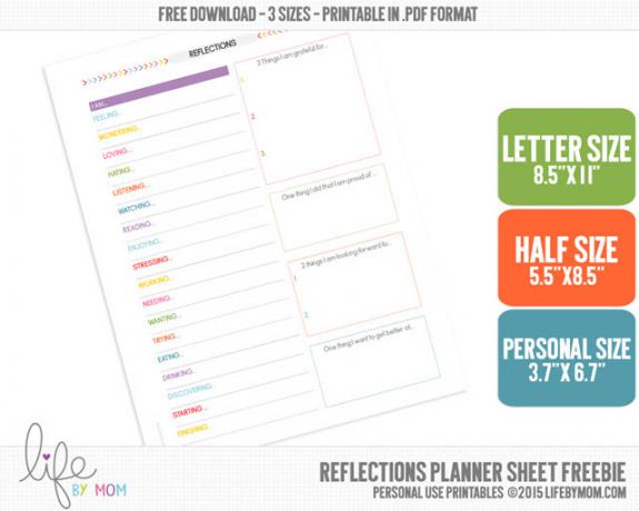 Productivity Planner - Riflessioni