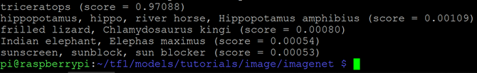 Uscita di classificazione dei dinosauri TensorFlow