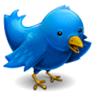 9 siti utili per trovare persone da seguire su Twitter twitterbird