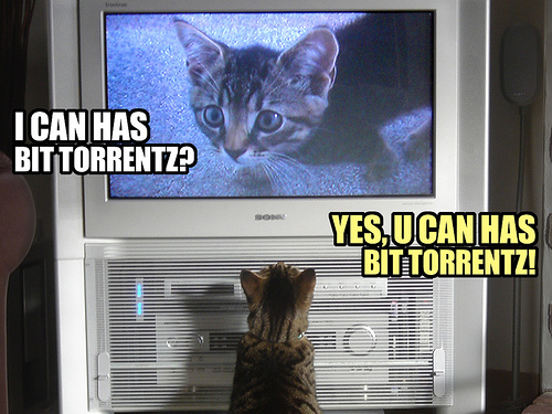 4 insidie ​​torrent da evitare e cosa fare Invece torrentcats