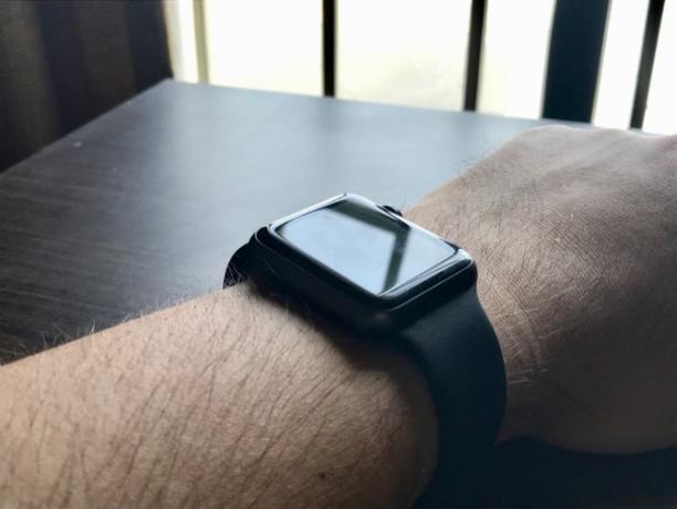 Apple Watch è meglio di Fitbit 2