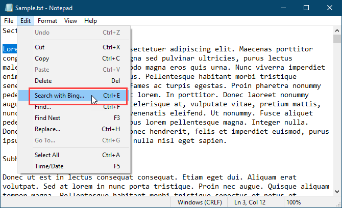 Cerca con Bing nel Blocco note