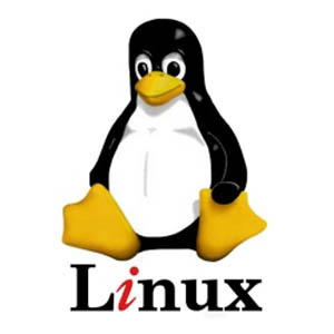 versione più semplice di linux