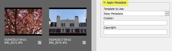 adobe bridge applica i metadati