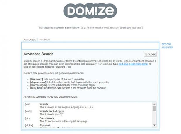 Domize sito Web di ricerca di nomi di dominio