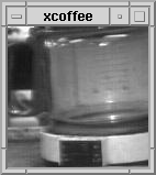 x-caffè