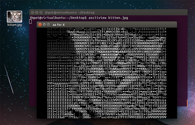 asciiview-kitten