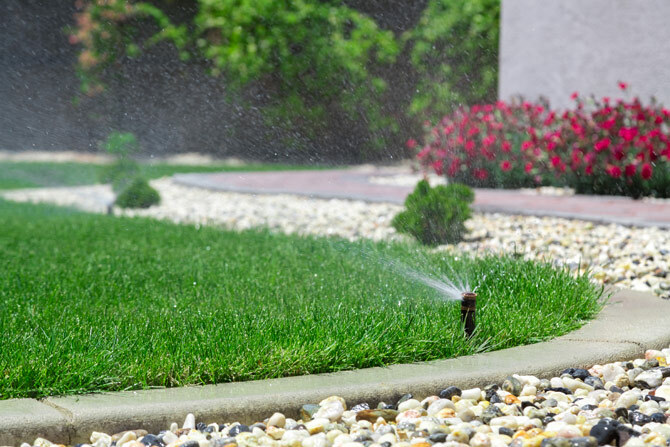 irrigatore d'acqua da prato