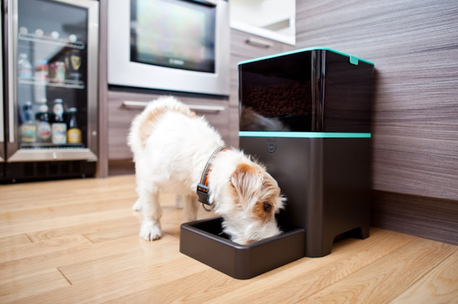 PetNet Smart Feeder