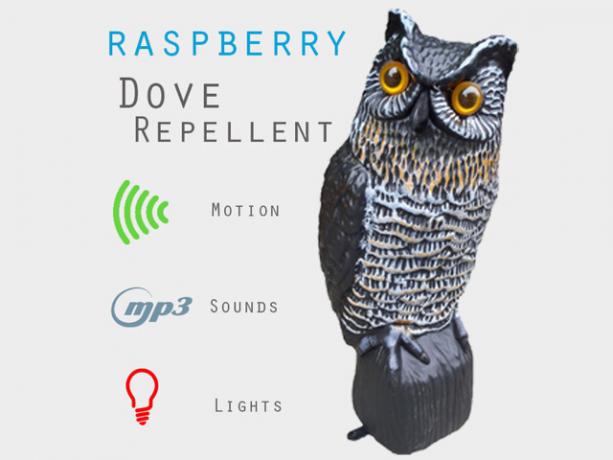 raspberry-pi-dove-repellenti-weird