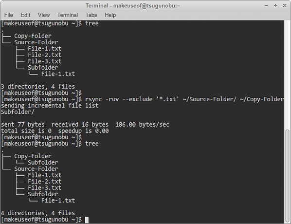 esclusione del modello rsync