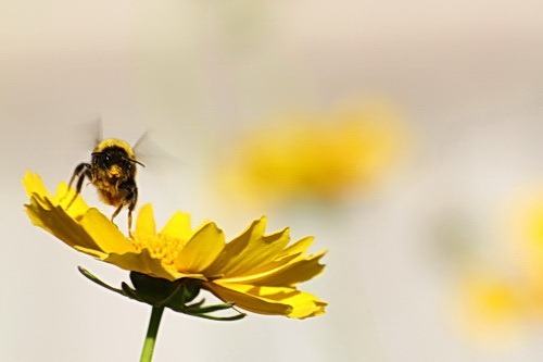 suggerimenti per la fotocamera