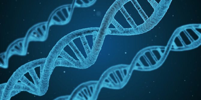 Illustrazione di una doppia elica del DNA